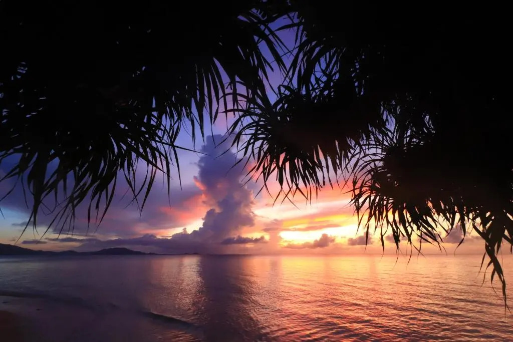 Sky Ocean - Ishigaki Eco-Resort - Newly Renovated