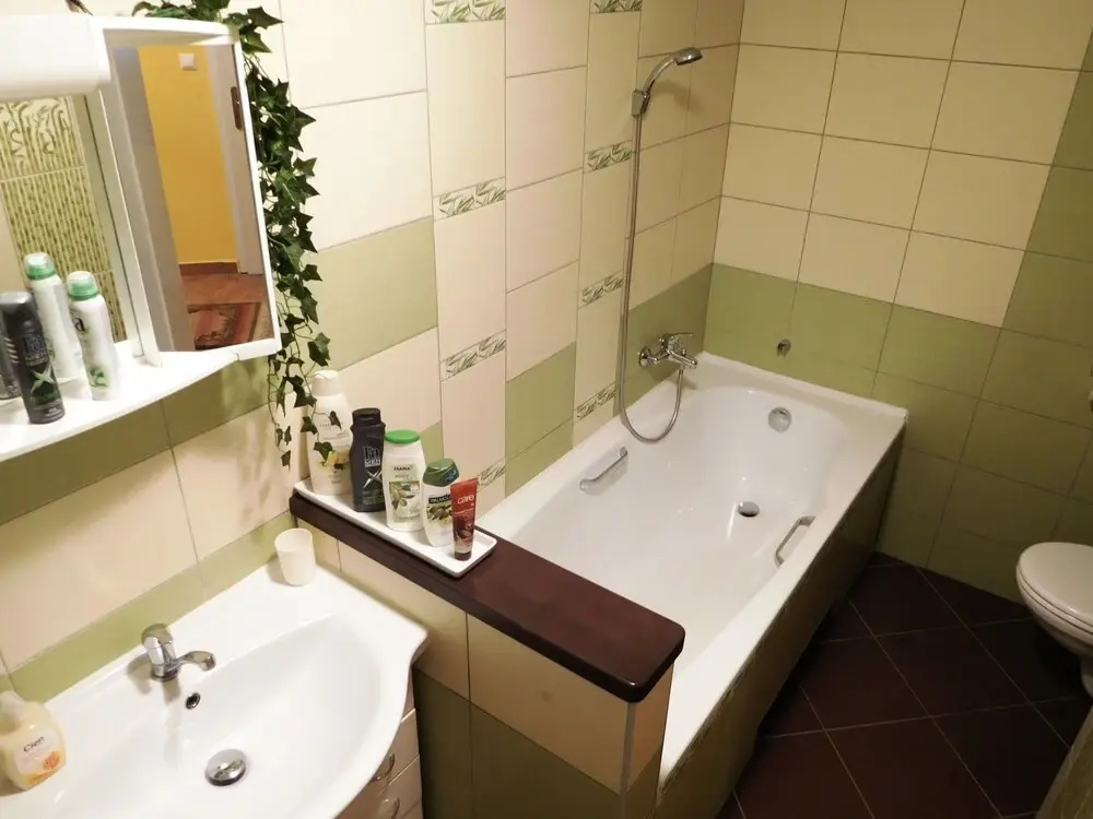 Apartment Boroví