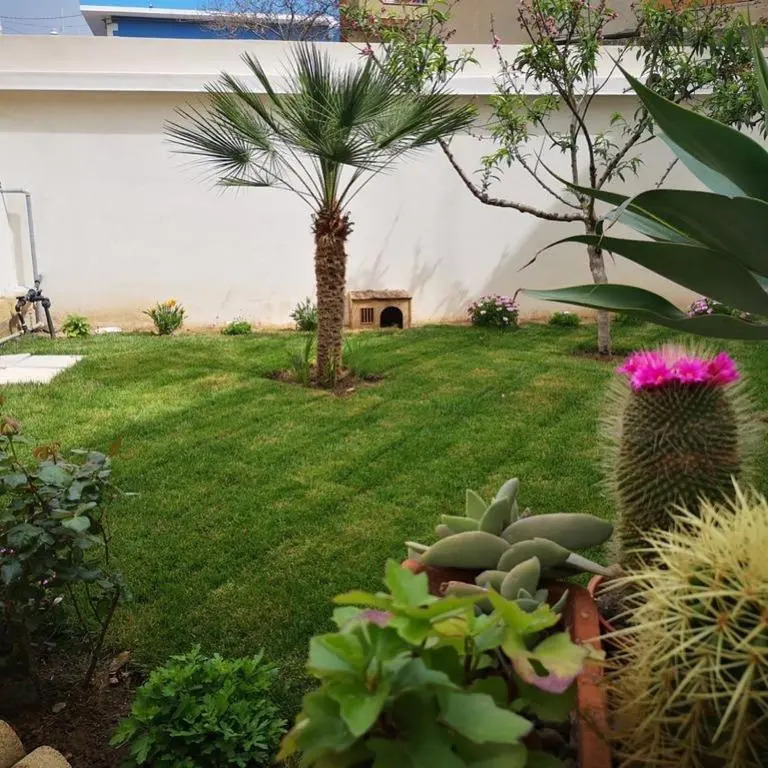 IL GIARDINO NASCOSTO