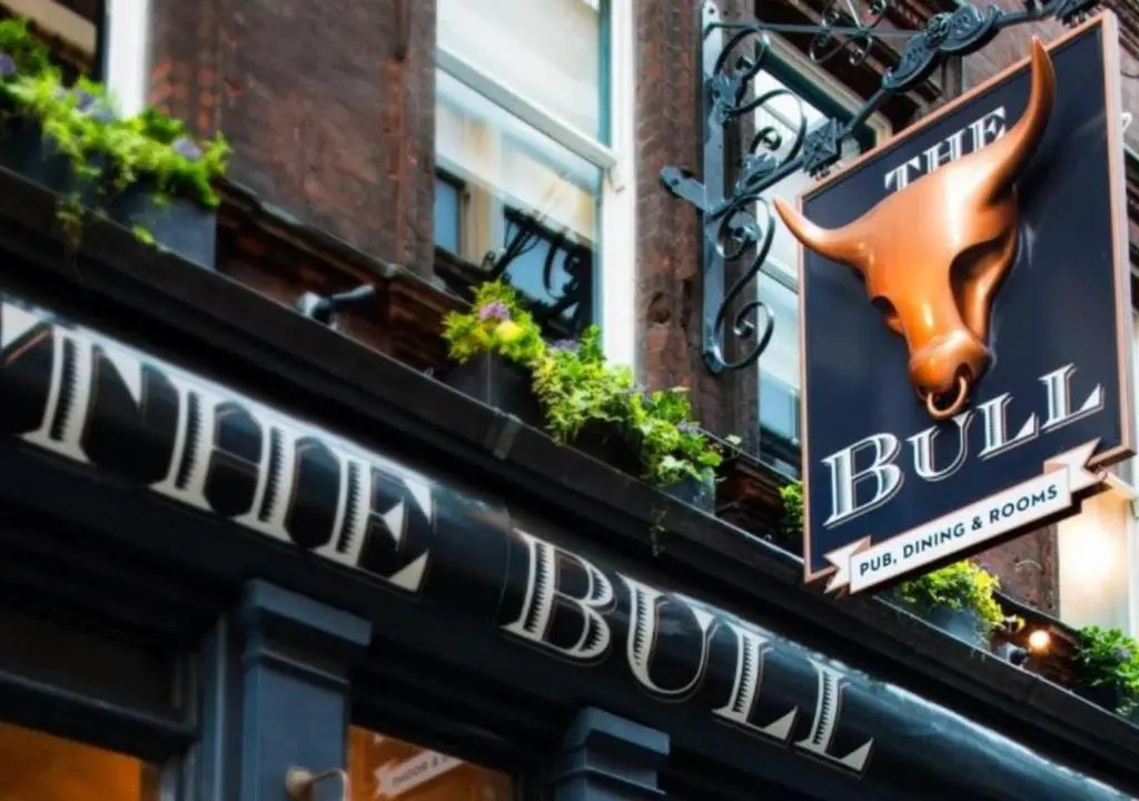 The Bull and The Hide