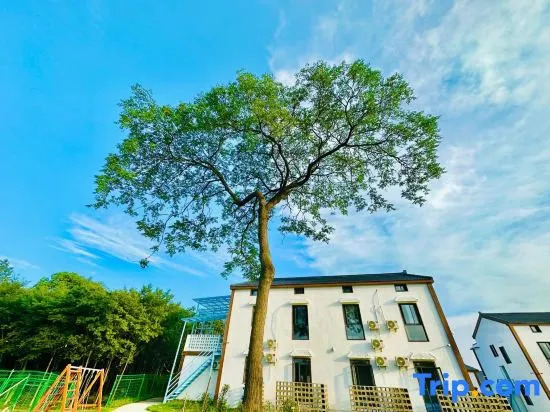 Wangyuan Hotel
