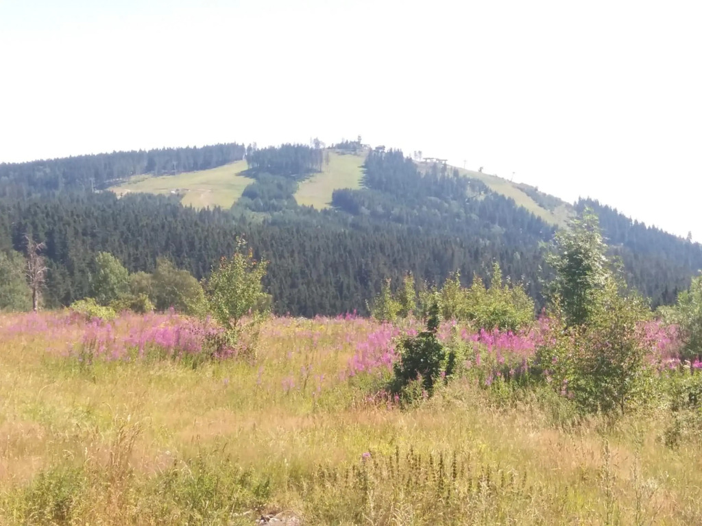 Apartmán Abertamy Krušné hory