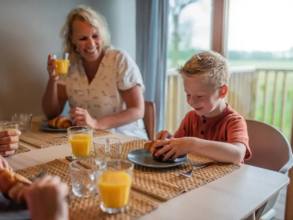 Lodges in Drenthe With Scenic Meadow Views
