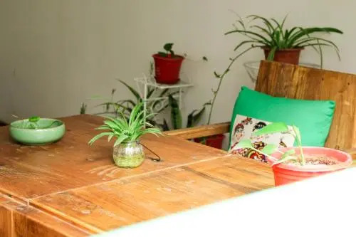 Libo QingQing Guest House
