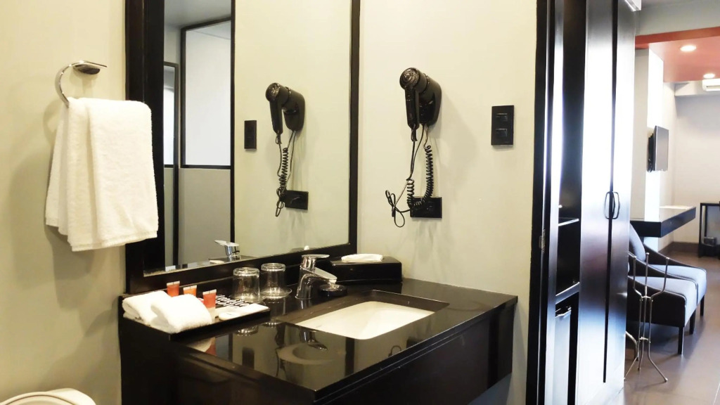 Amelie Hotel Manila