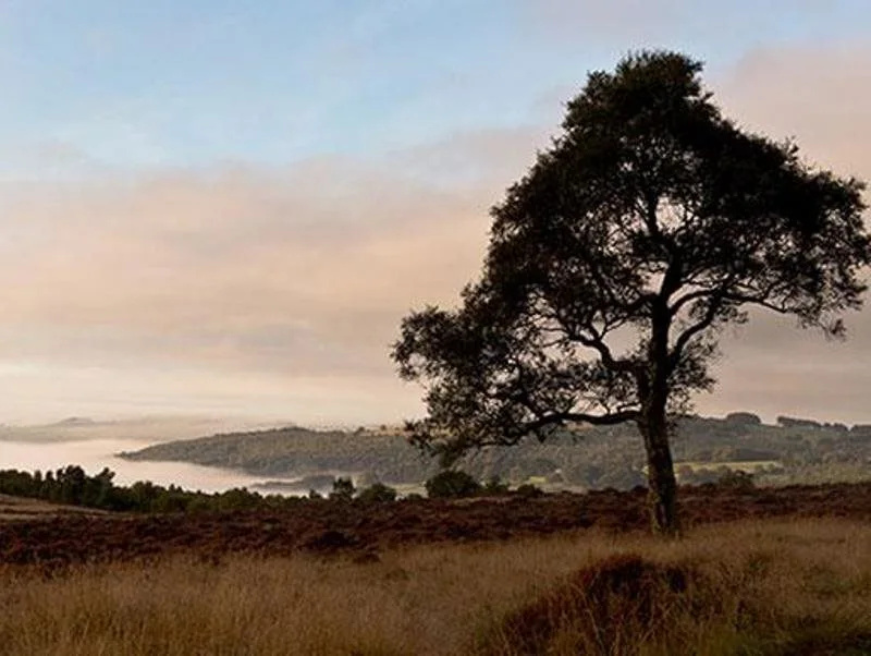 YHA Hathersage