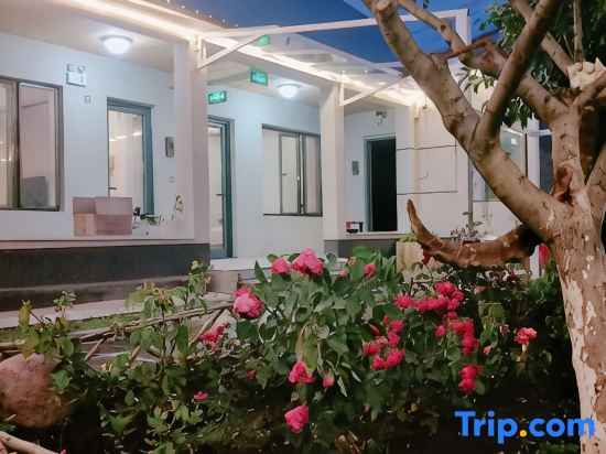Little  time hotel