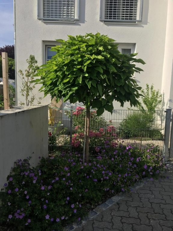 Ferienwohnung im Herzen von Kelheim