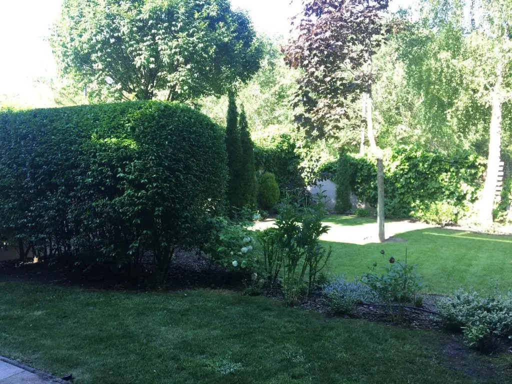 Madarhegy Apartment with garden Buda side