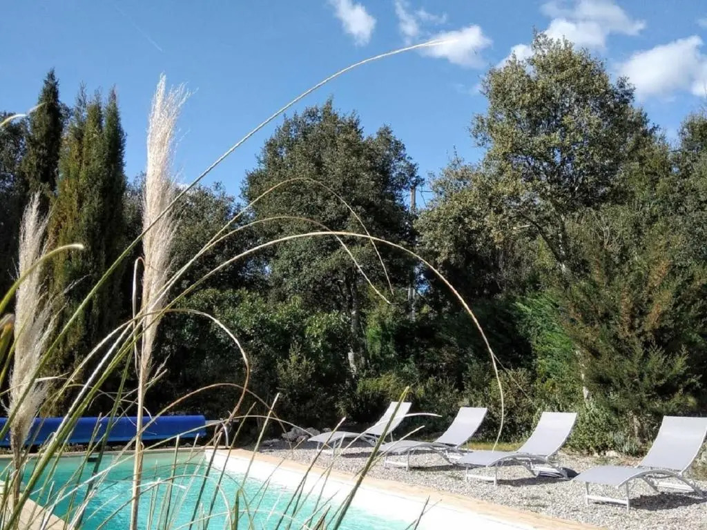 la Mésange Bleue du VERDON