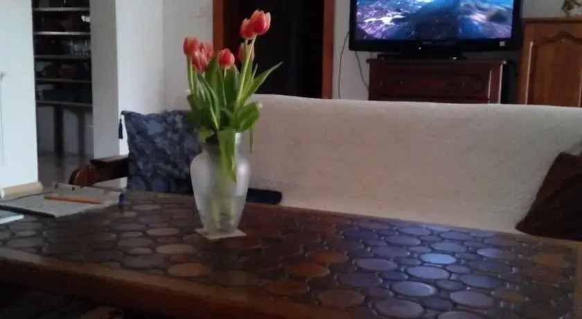 Vila Ţara Haţegului