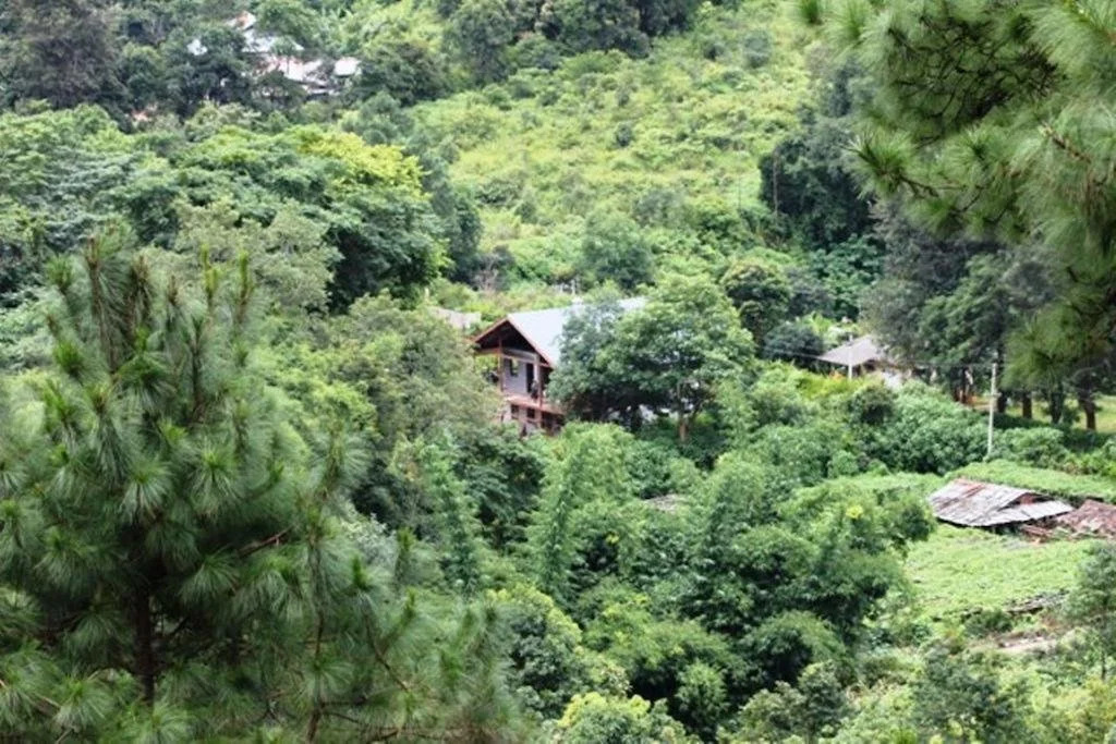 Thitaw Lay House B & B