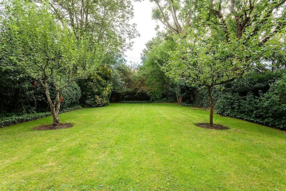 Veeve - Belsize Beauty