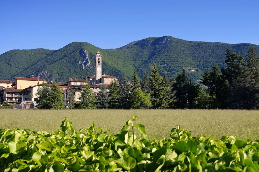 Villa Fiora Tra Le Colline E Il Lago