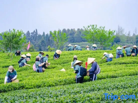 Yehou Qi Homestay (Yaan Mengding Mountain Town Branch)