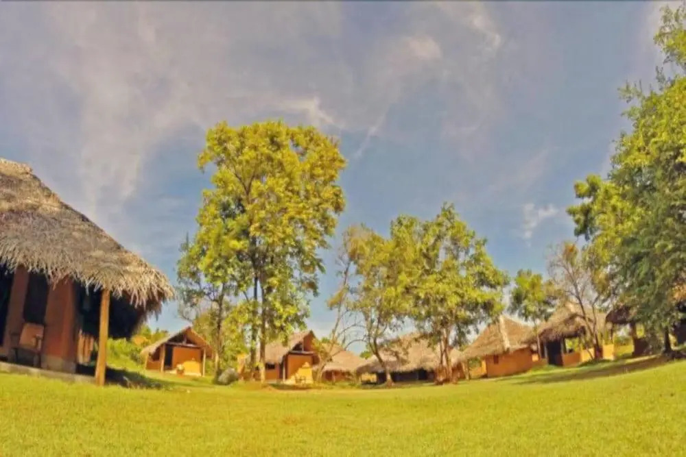 Green Ayurvedic Resort
