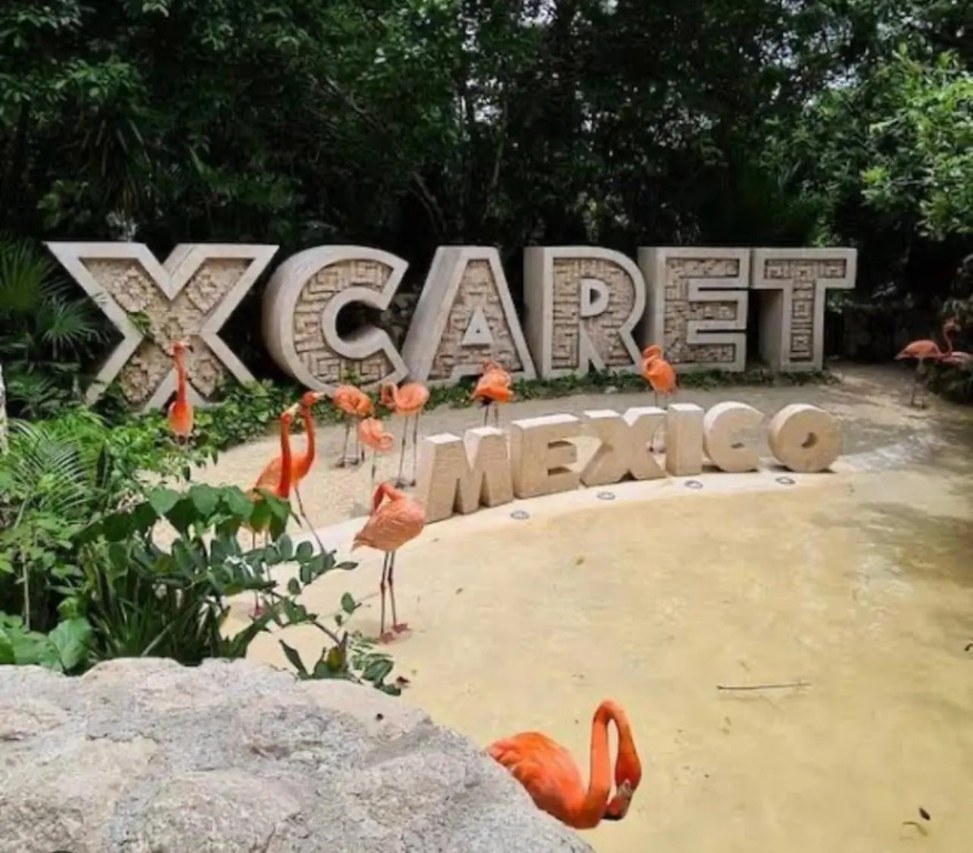 Casa Tucan. A contemporary holiday or work nest