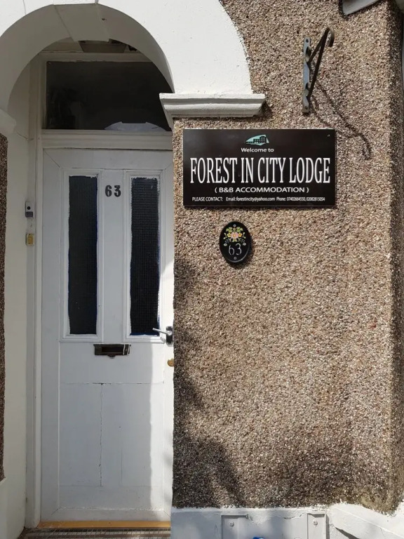 Forest In City Lodge