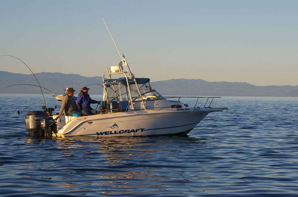 Sooke Harbour Resort & Marina