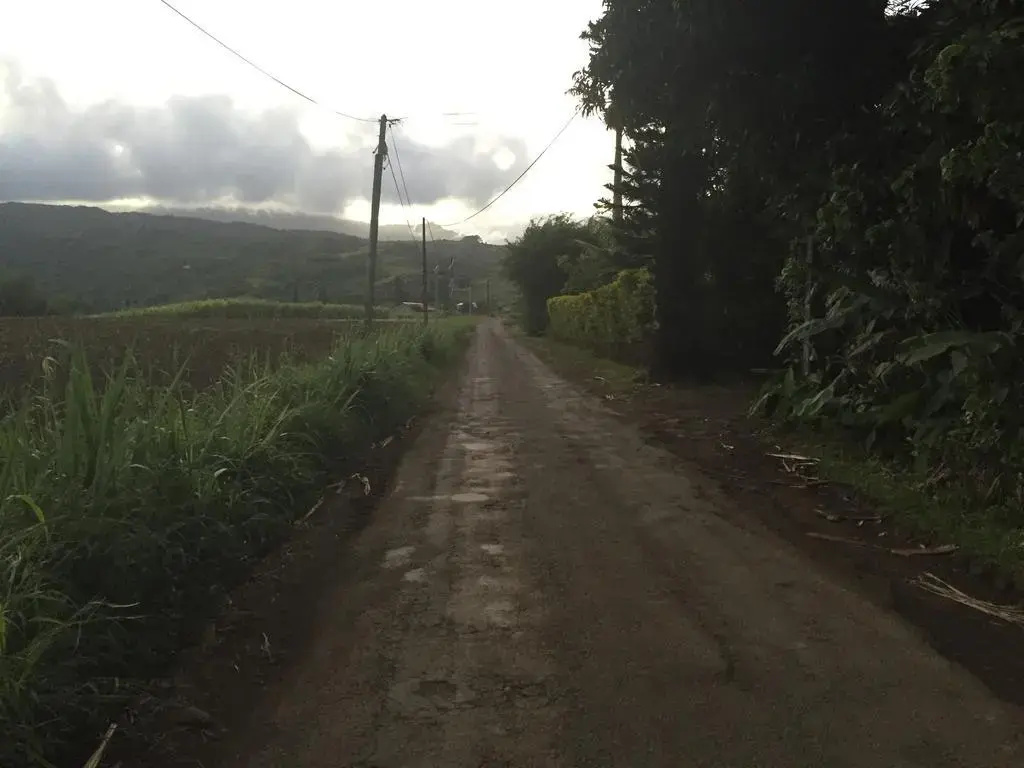 Le Lambablanc
