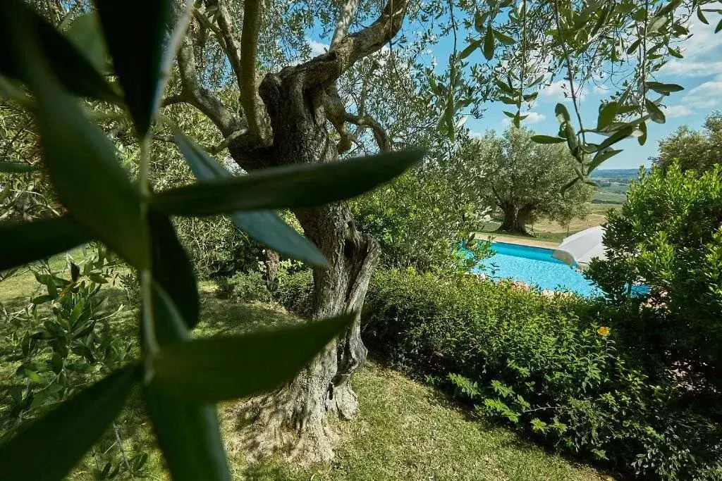 1-room Apartment 60 M2 - Inh 22624