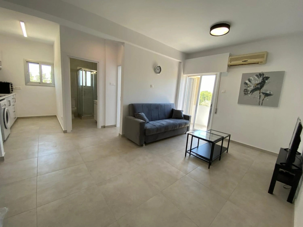 Renovated modern 1-bedroom apartment with view