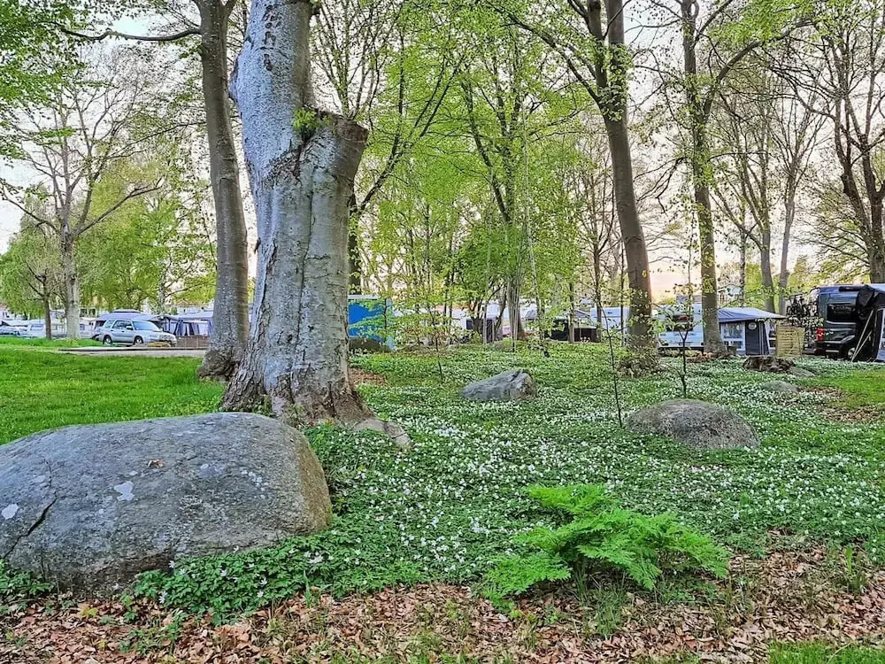 4 star holiday home in Sölvesborg