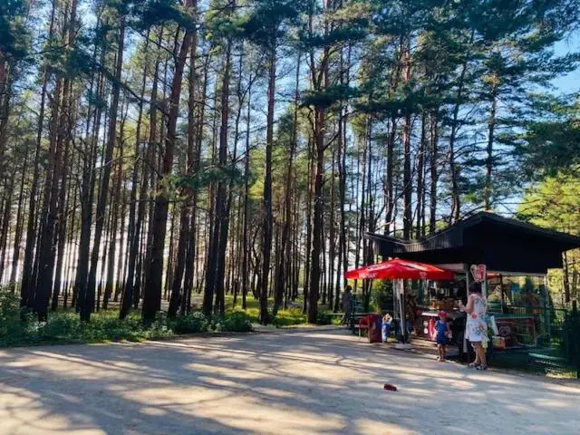 Vaivorykštės terasos