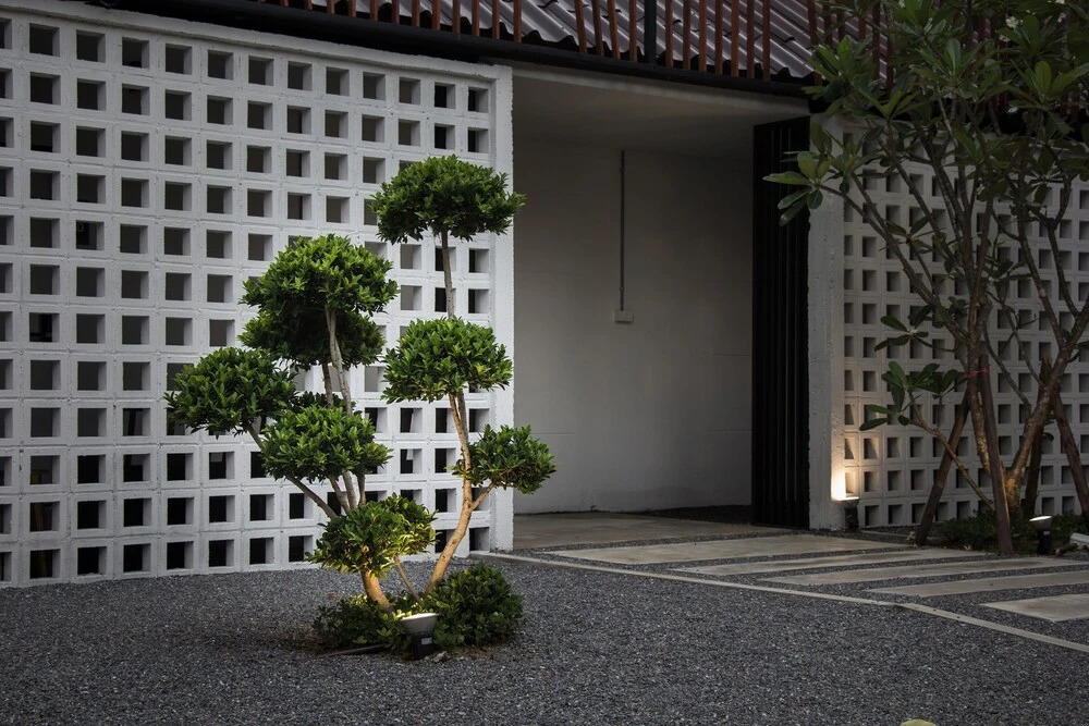 Zen Hostel Chiang mai