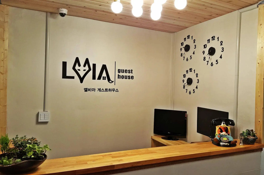 LVIA Guesthouse - Hostel