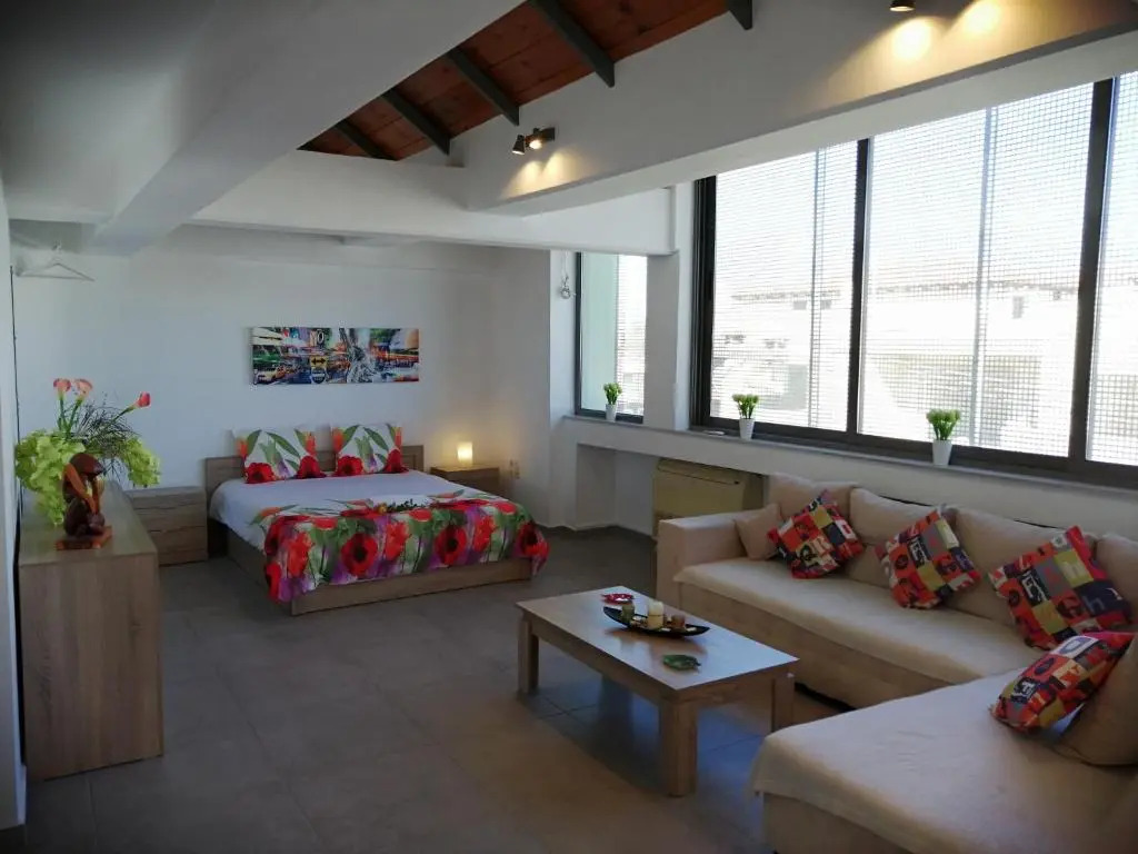 Spacious & Modern Studio Apartment Near the Airport