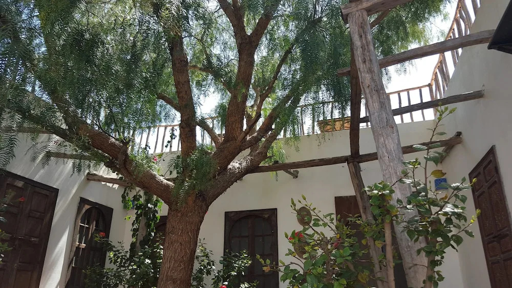 La Maison D'Hortense