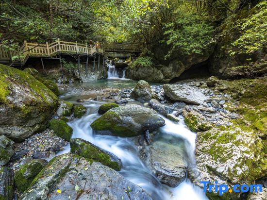 Shennongjia Xixuantang Homestay (Muyuzhen Shennongtan Scenic Area Branch)