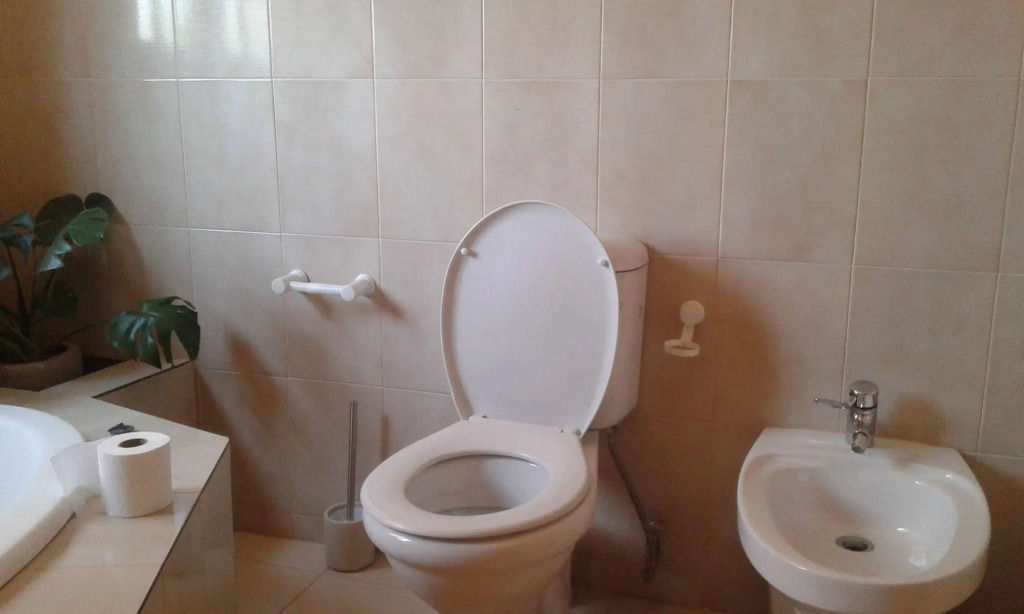 Inca Rose Guest House