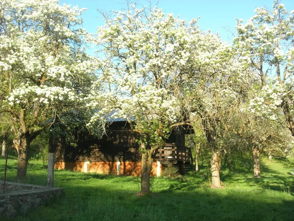Camping, Hôtel De Plein Air Les Cariamas