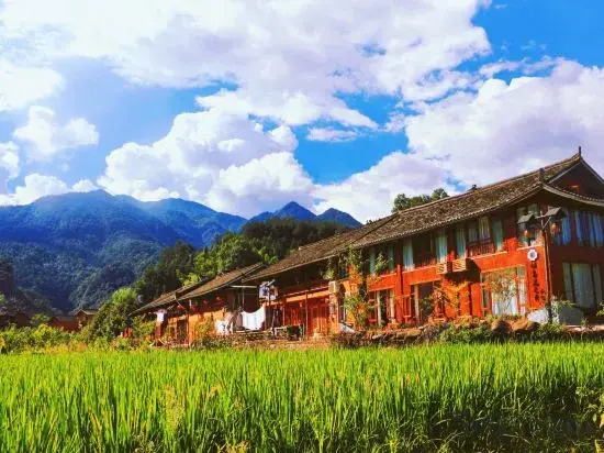 the South Flower of Fanjingshan City Has Opened A Guesthouse