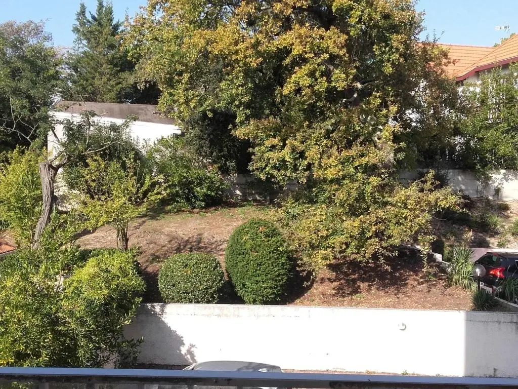 Appartement Arcachon, 2 Pièces, 2 Personnes - Fr-1-319-12