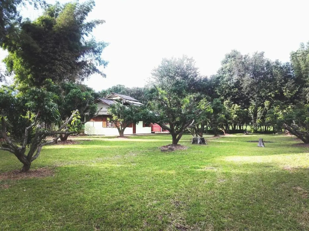 Dreamhome Chiangdao
