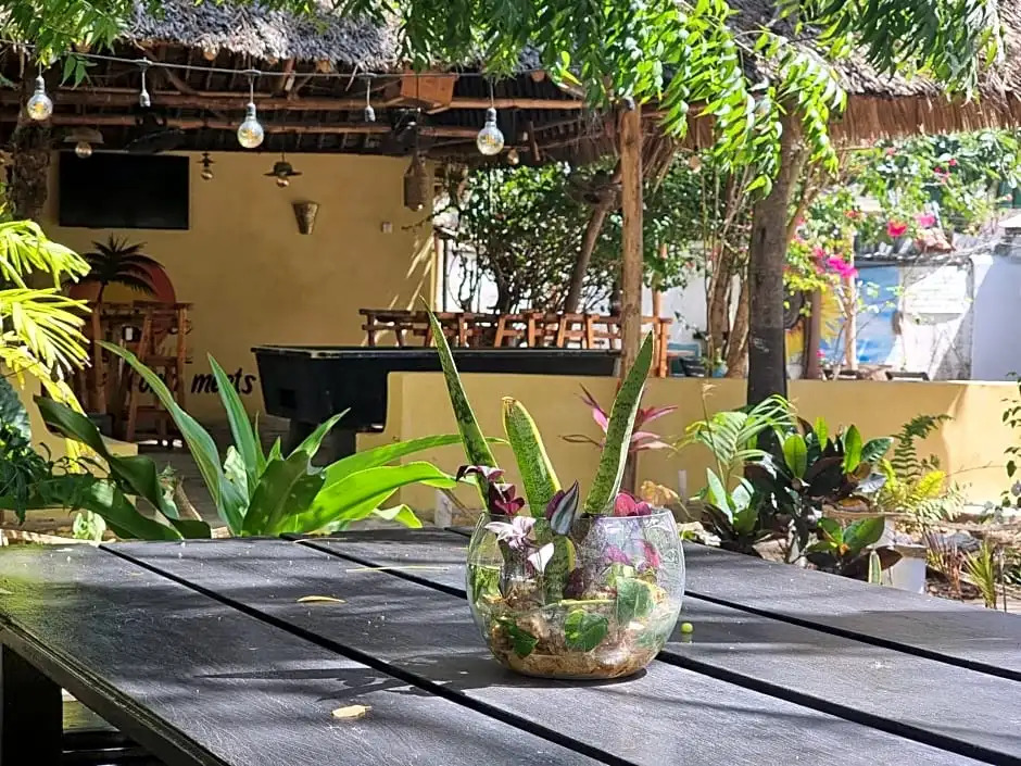 Tulia House Backpackers