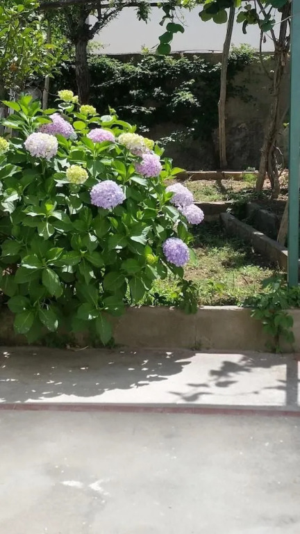 Capri MyHouse 2