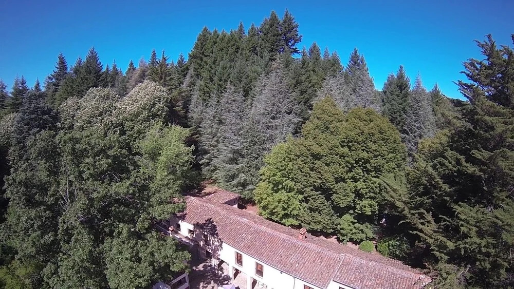 Hotel rural El Jardin del Conde
