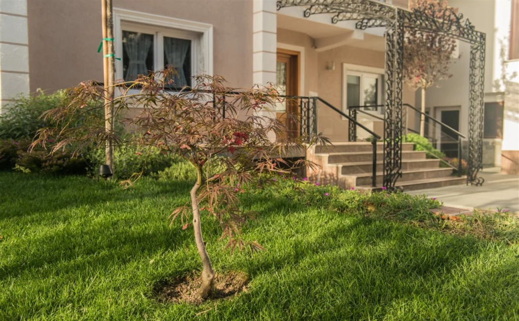 Hotel Vila Bregu