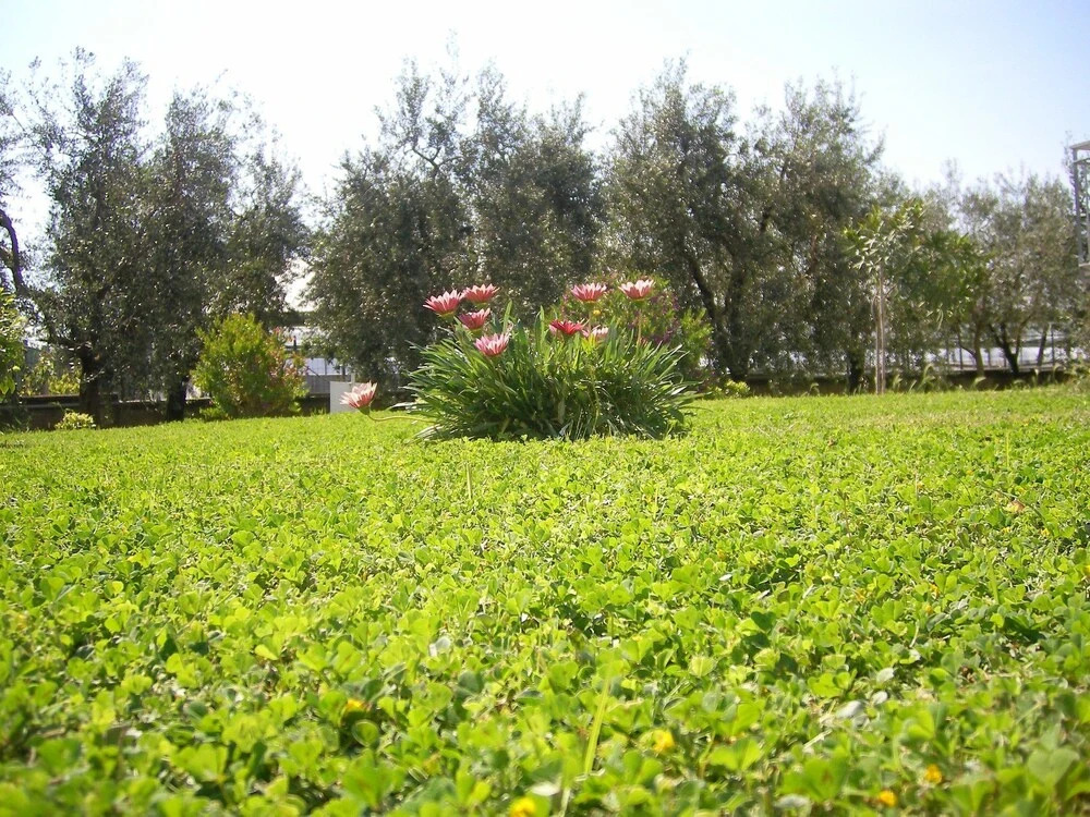 B&B Casa Ro'