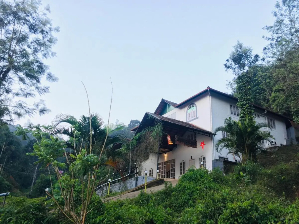 mangosteen holidays