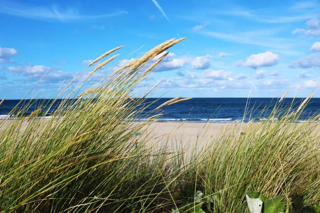 Ferienhaus Strand 18