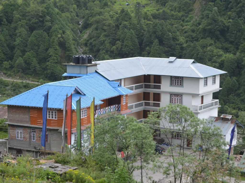 Delight Royal Lachung