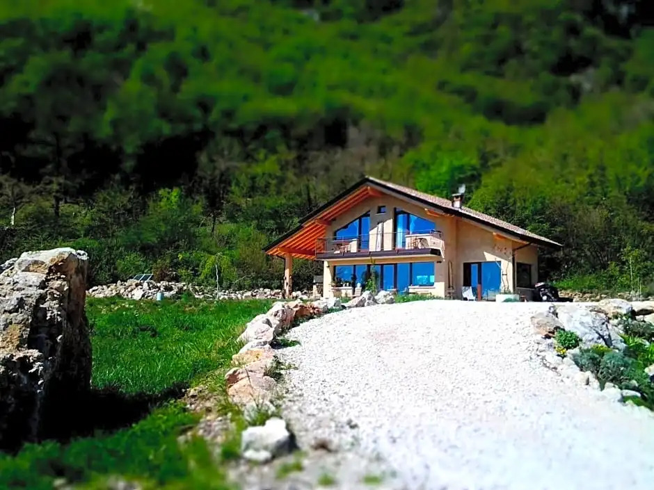B&B Asinochevola