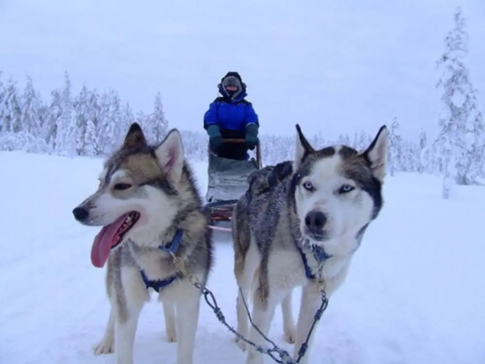 Holiday Club Salla Superior Apartments