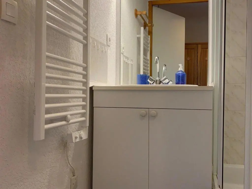 Appartement Notre-Dame-de-Bellecombe, 2 pièces, 4 personnes - FR-1-505-101
