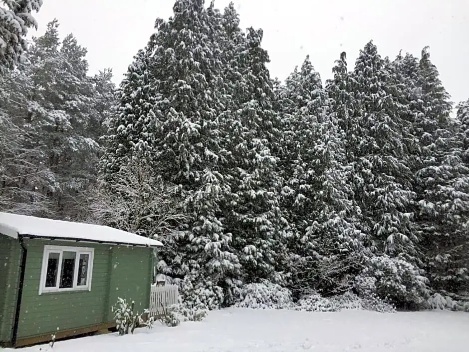Woodland Cabin With private Wood-Fired Hot-Tub